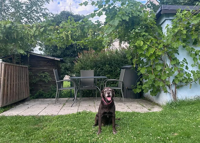 Himmelblau בורגן